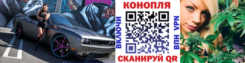 Купить закладку Славгород Бутират  Alpha PVP  Меф мяу мяу  Канабис 