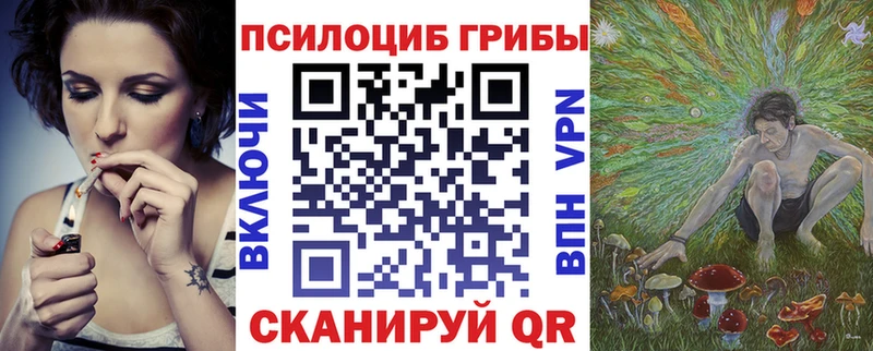Галлюциногенные грибы Psilocybe  купить наркотики цена  Славгород 