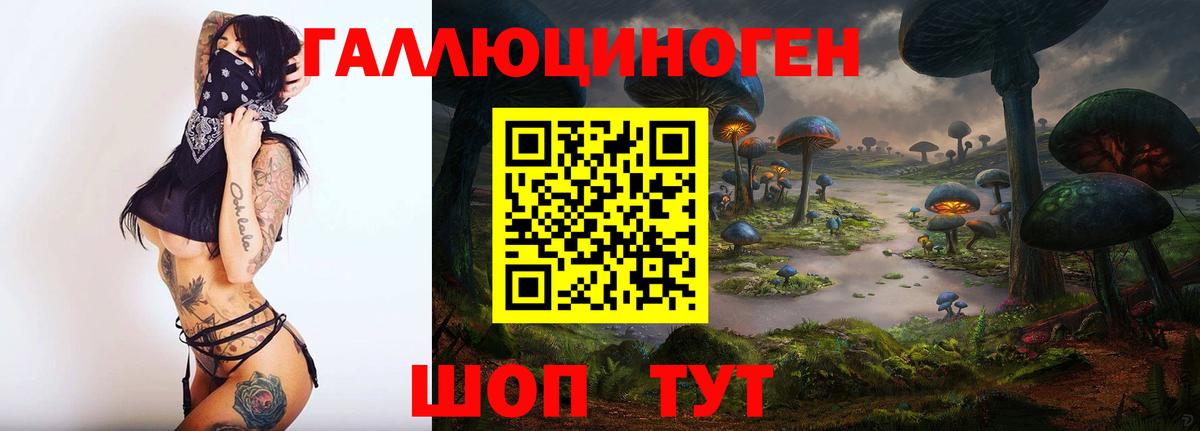Галлюциногенные грибы Psilocybe Славгород