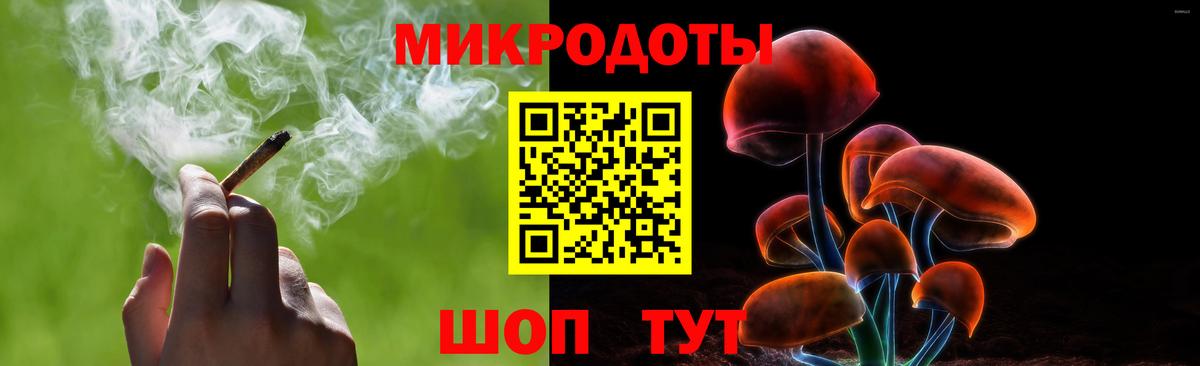 Славгород  Галлюциногенные грибы прущие грибы  Вход с VPN 